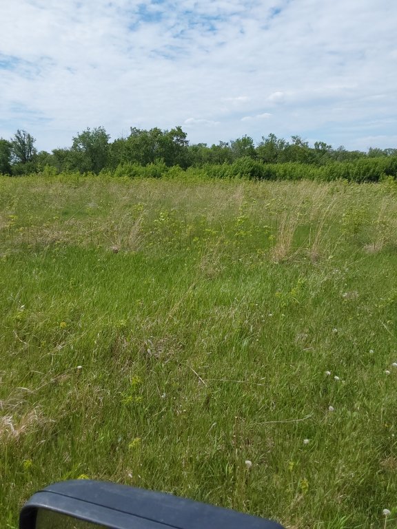 20260530_111128.jpg