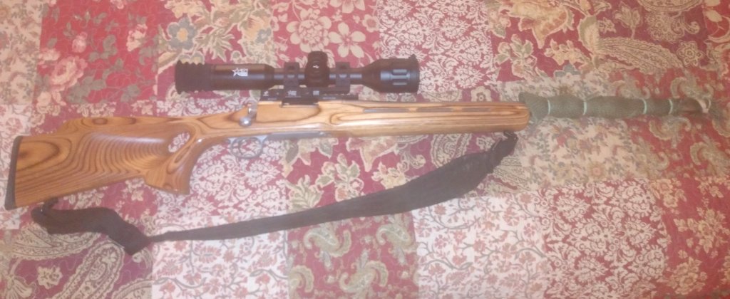 204 ruger.jpg