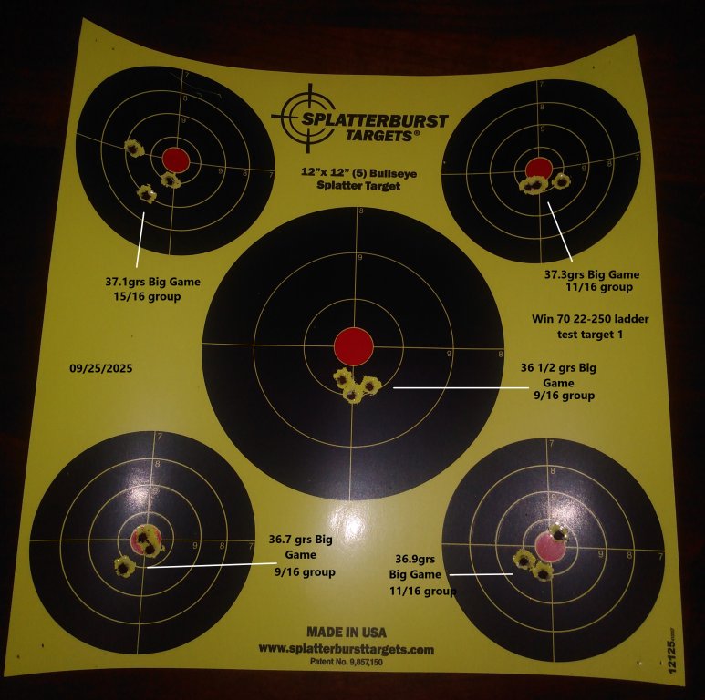 22-250 ladder test target 1.jpg