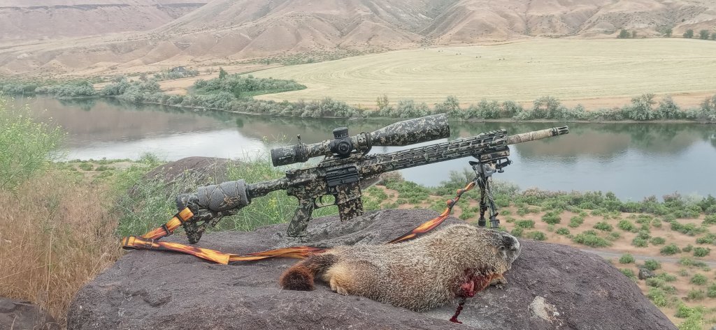 24 Rocky Down 233 6-06-24.jpg