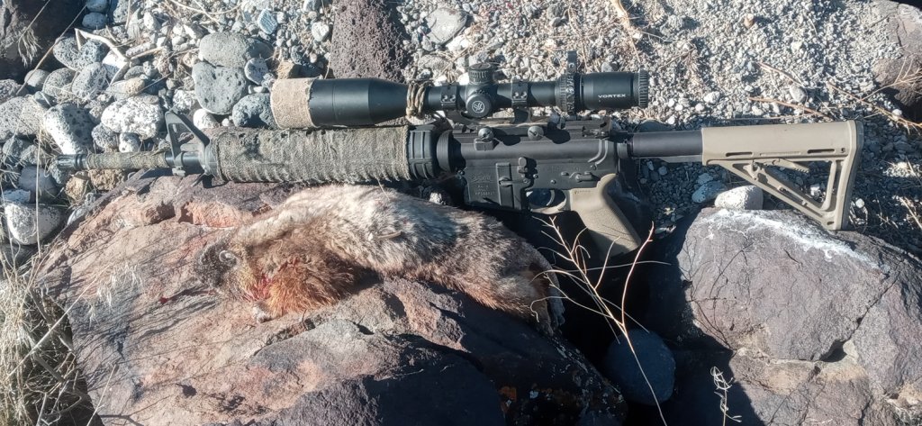 25 Rocky 1-25-25 131.jpg