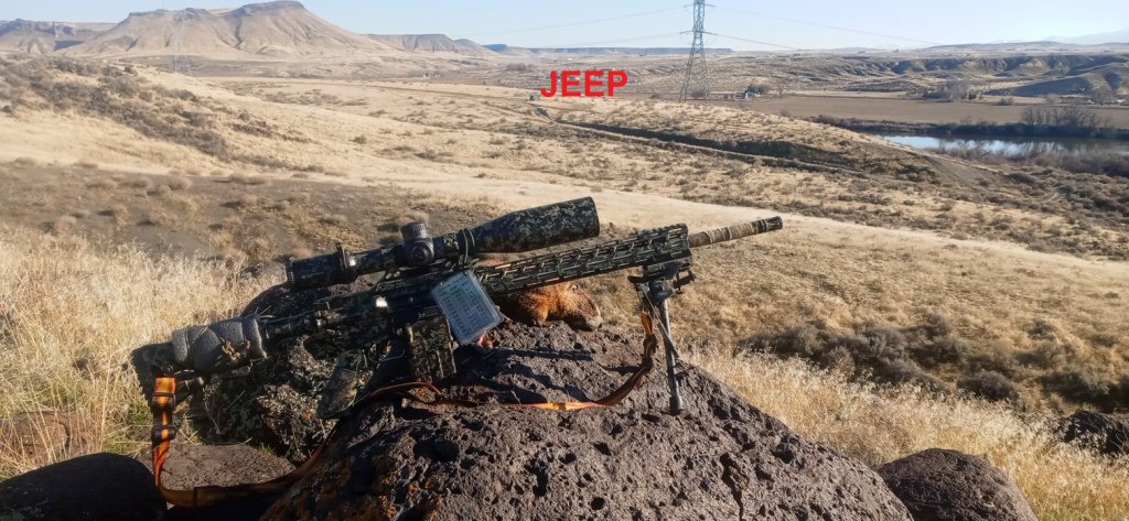 25 Rocky 2-28-25 329 2.jpg