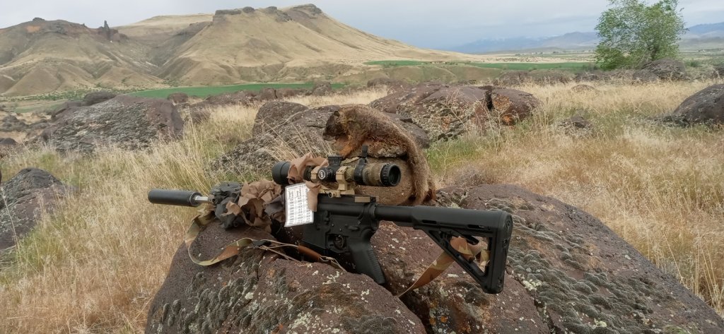 25 Rocky Down 53.jpg