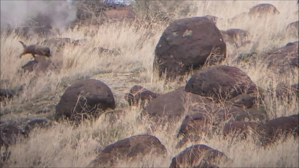 26 Rocky 2-6-26 200 Yard.jpg