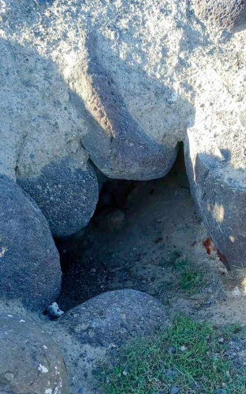 26 Rocky 4-24-26 318.jpg