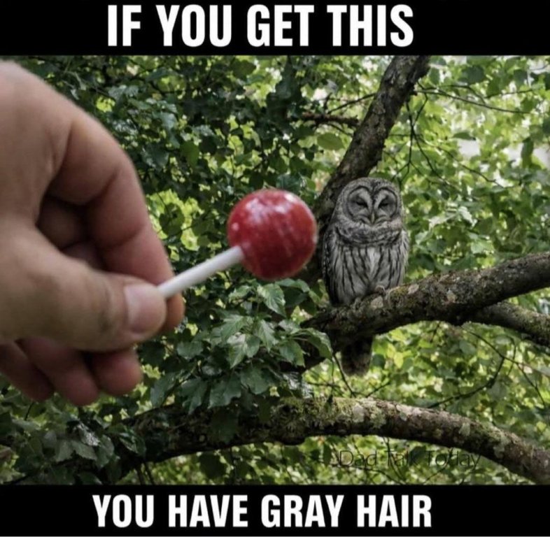 8b0aa5ddf556ce4e12599f7d77be4c47.jpg