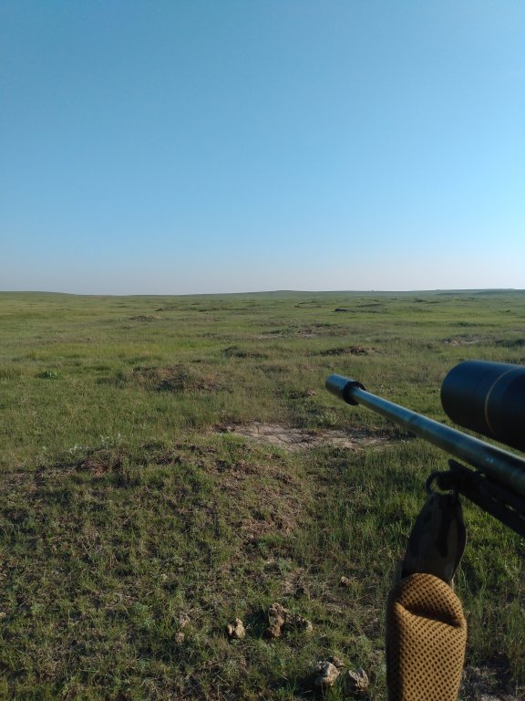 Belfield ND prairie dogs.jpg