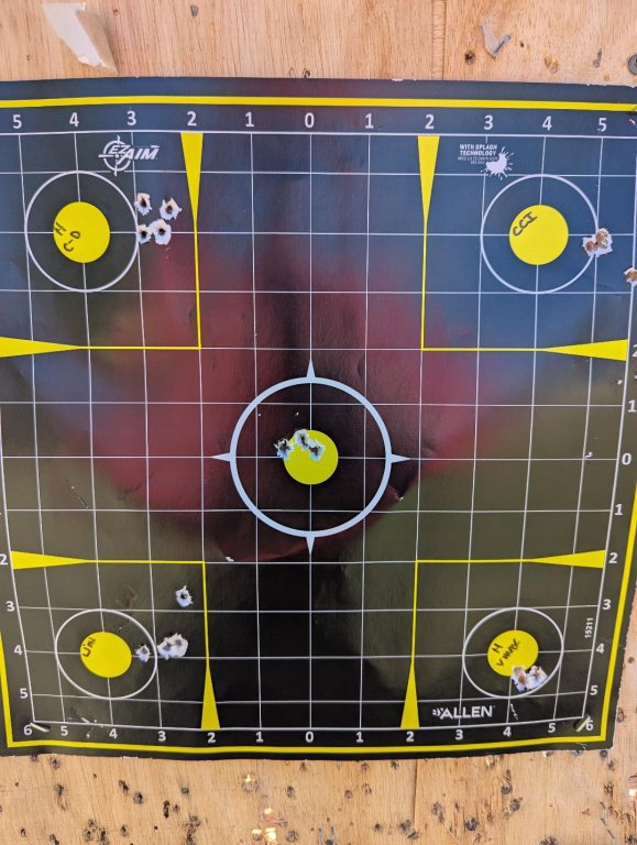 Bergara 1.jpg
