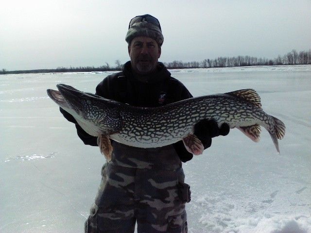 biggie 1_zpsgnxuwozd.jpg