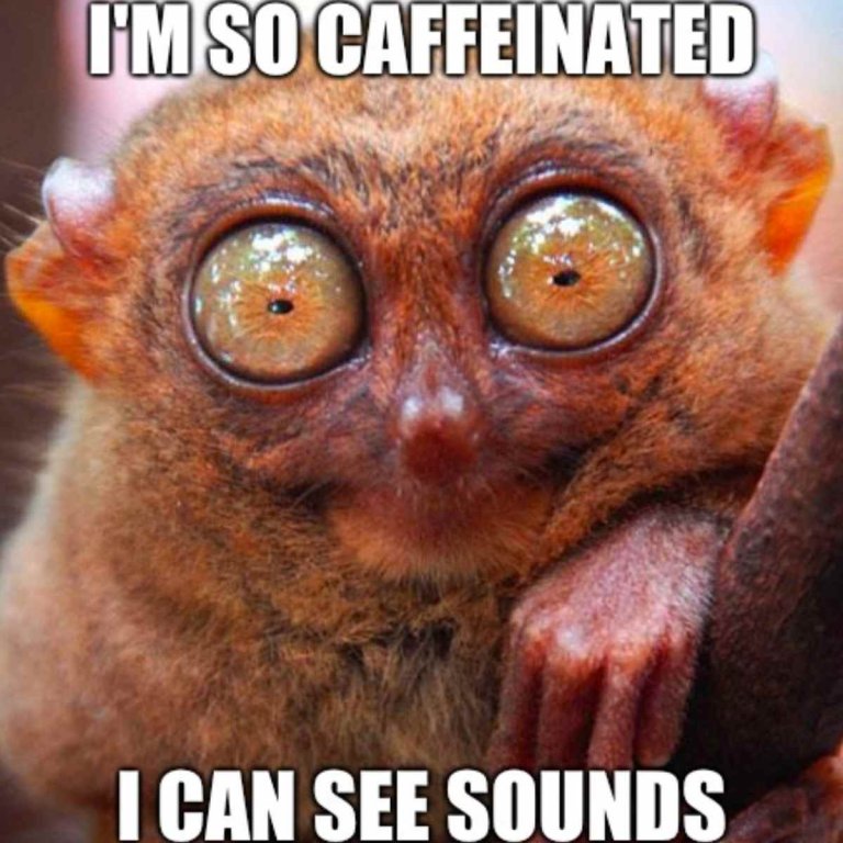 caffeinated.jpg