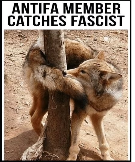 Catches self.jpg