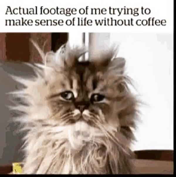 coffee-meme-actual-footage-of-me-1469670964.jpg