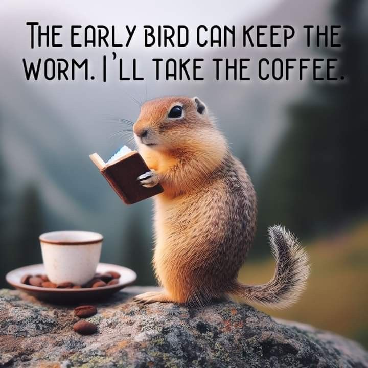 coffee-meme-squerl.jpg