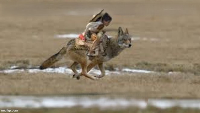 coyote-kid - Copy.jpg