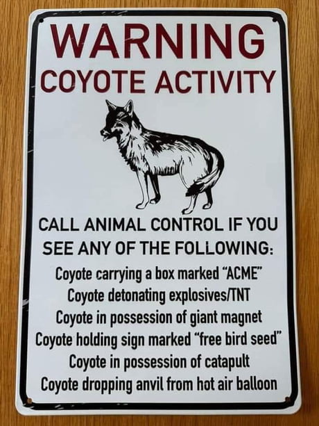 coyote_activity.jpg