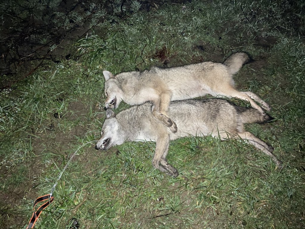 Dave Rodgers 1-27-24 (3).JPG