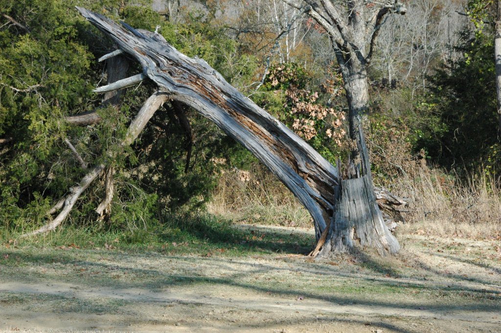 DSC_0022.JPG