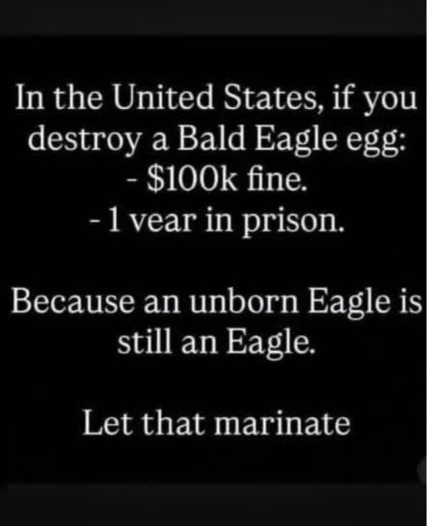 e34a7c492cfcc94de1d822879628247c.jpg
