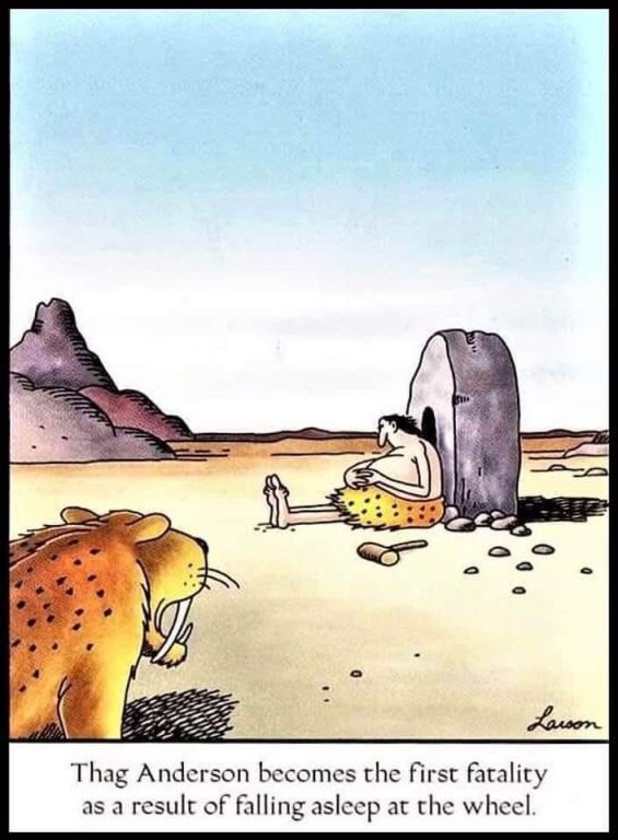 Far Side 1.jpg