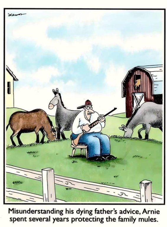 Far Side.jpg