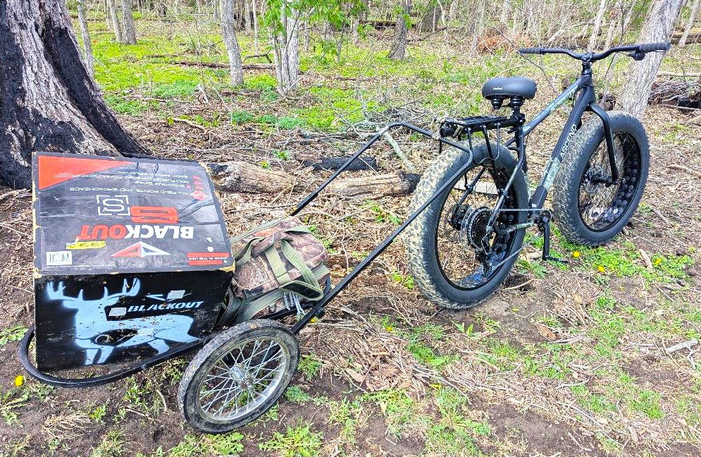 Fat Tire Cart 2a.jpg