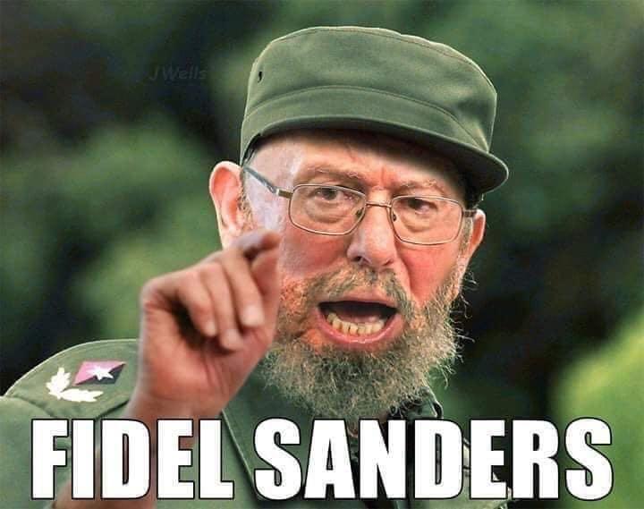 feldo Bernie.jpg