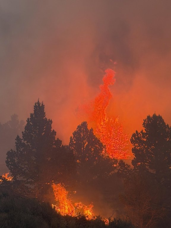 Fire.jpg
