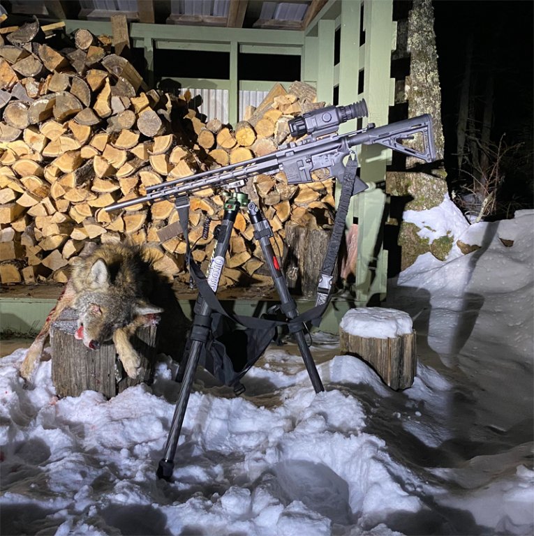 first w rattler 640 copy.jpg