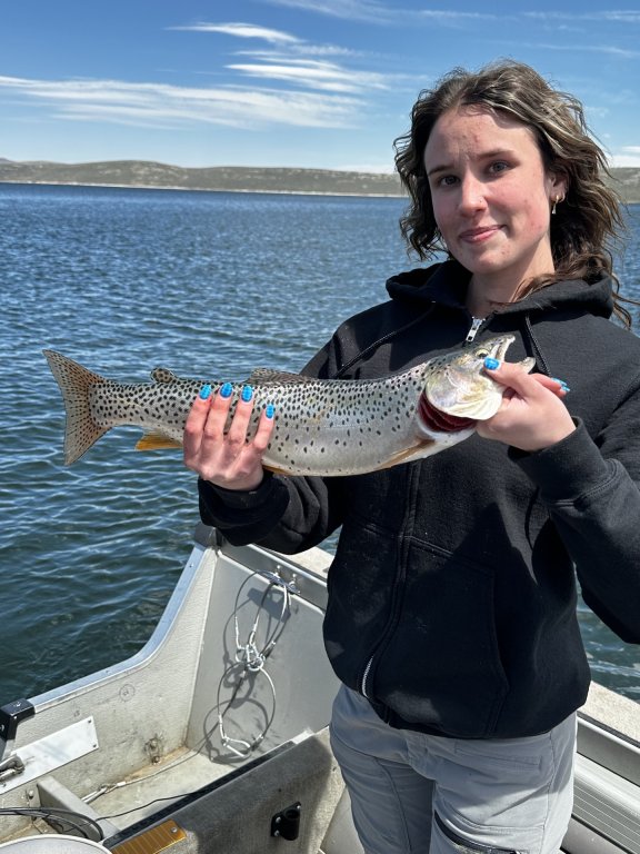 Fish-6.jpg