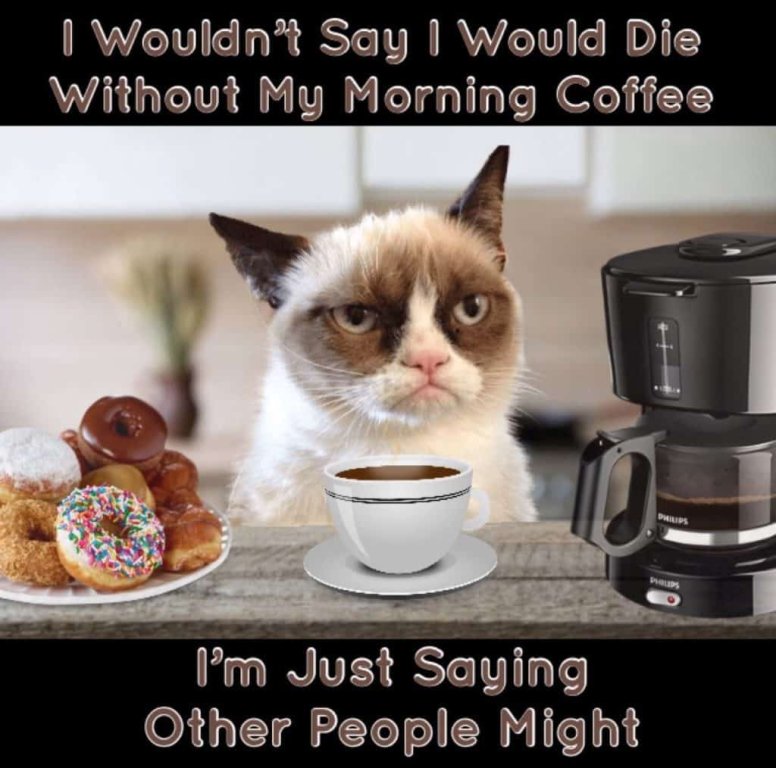 Grumpy-Cat-Coffee-Memes-1024x1014-3077863604.jpg