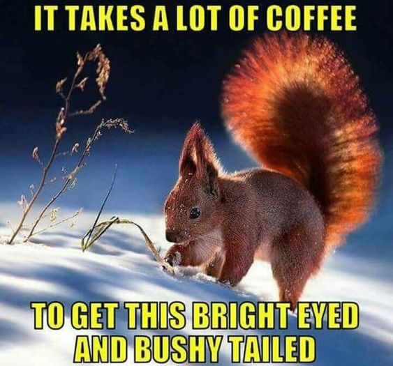 Hilarious-Wednesday-Coffee-Meme-1628610501.jpg