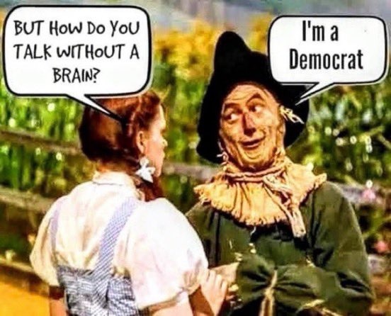 I'm a Democrat.jpg