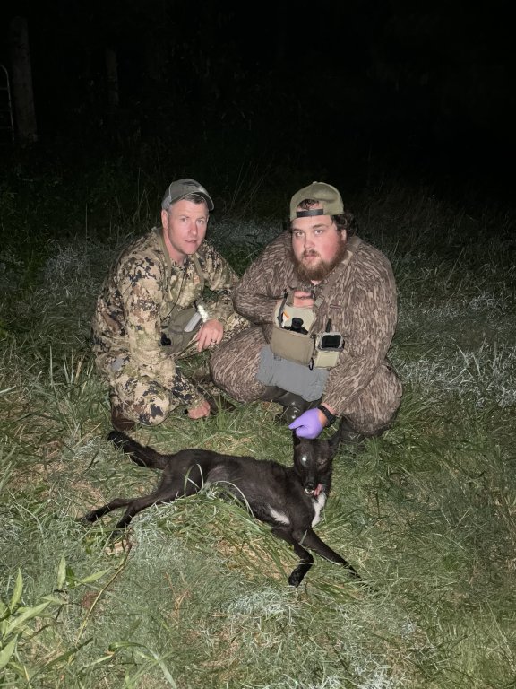 Two Blacks and a 3rd on the way home | Predator Masters