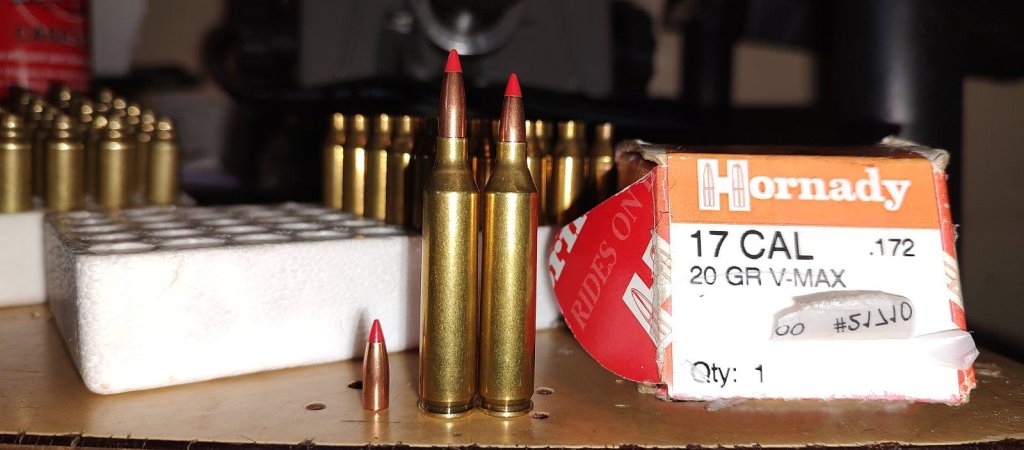 IMG_20240114_113357561 (1).jpg