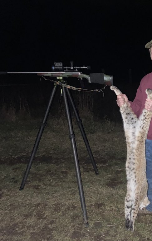 Some Predators from this past Winter | Predator Masters