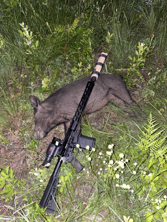 Ruger SFAR | Predator Masters