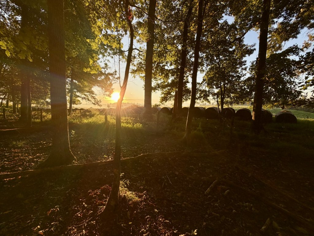 IMG_9100.jpeg