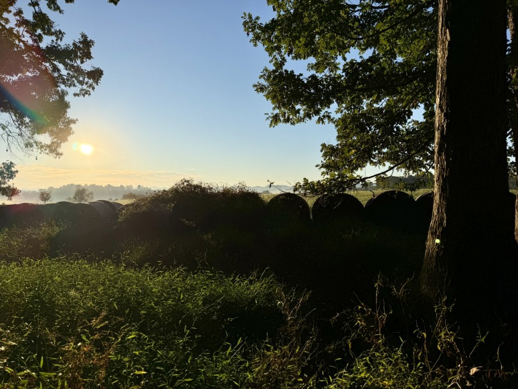 IMG_9101.jpeg