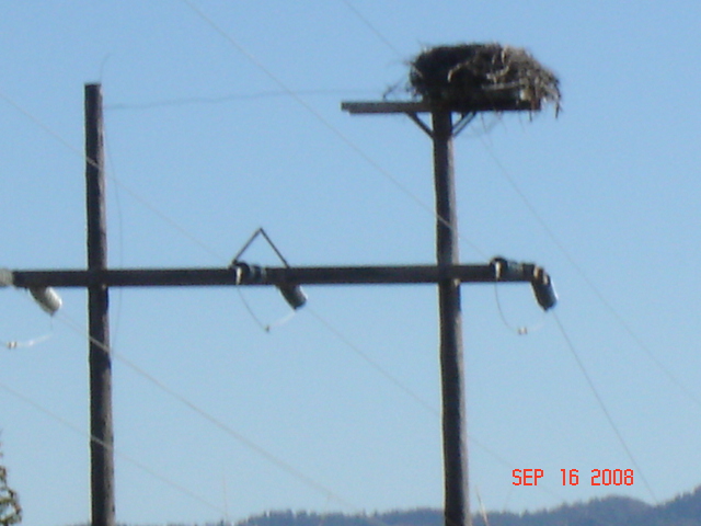 Jackson Wyoming 080.JPG