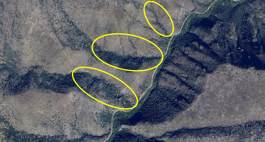 map 21.jpg