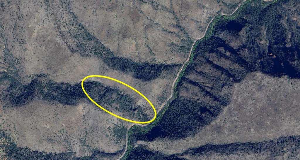 map 31.jpg