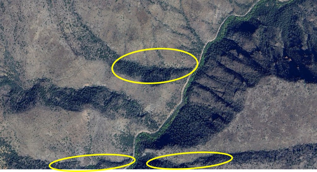 map 41.jpg