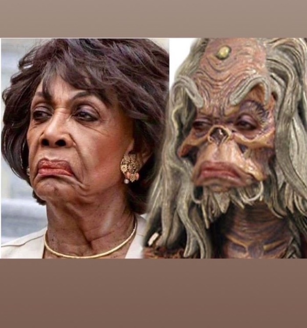 Maxine Waters.jpg