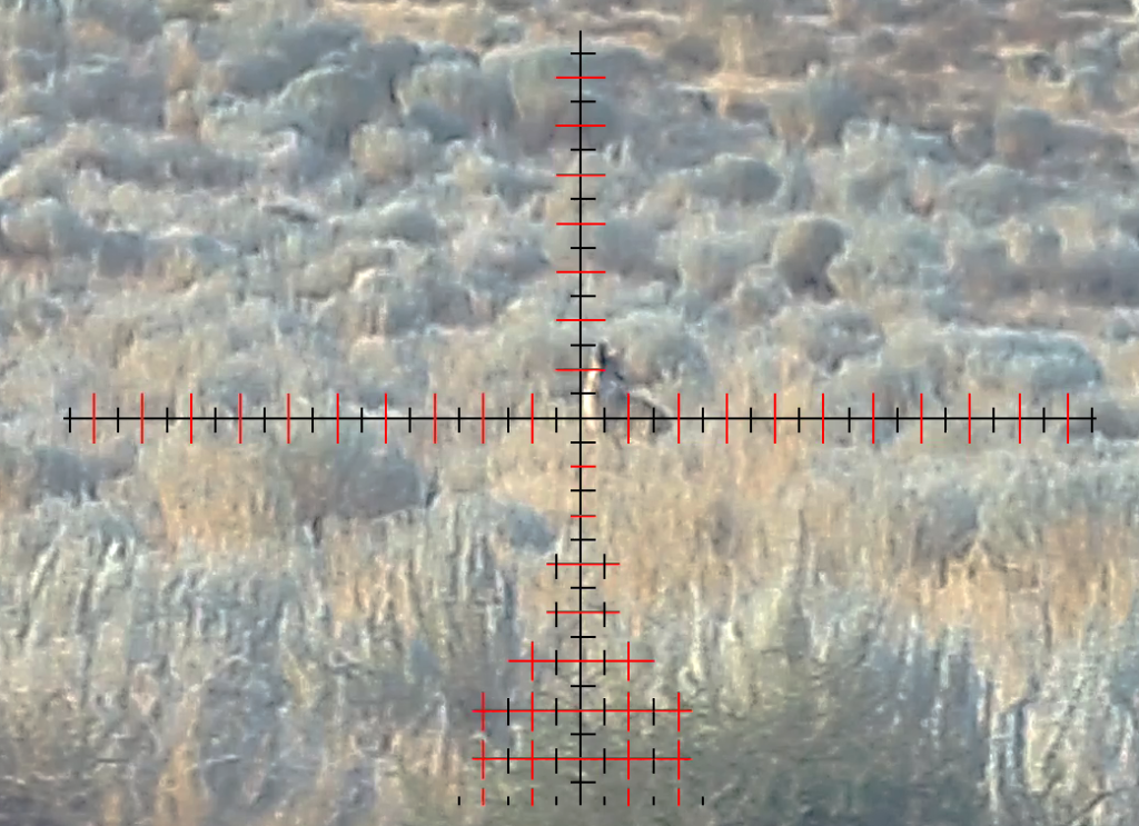 Missed Coyote 91225.png