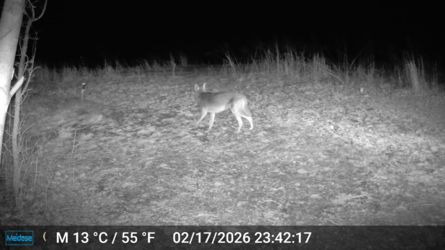 Moments Before The Shot.jpg