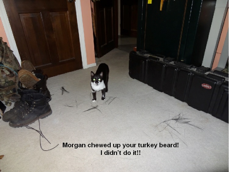 Morgan and Zeb 1.jpg