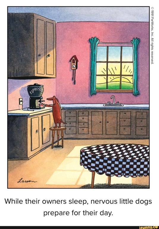 Nervous Little Dog.jpg