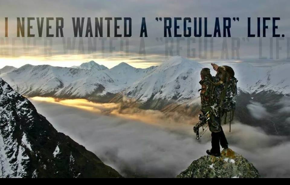 never wanted a regular life.jpg