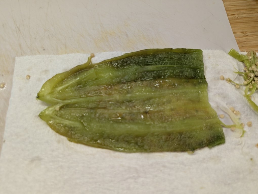PXL_20260905_234653249.jpg