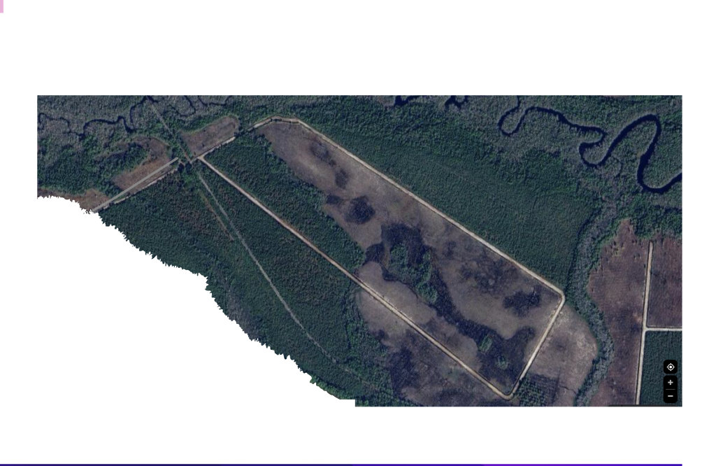 Screen Shot 2026-02-18 at 10.44.39 AM.png